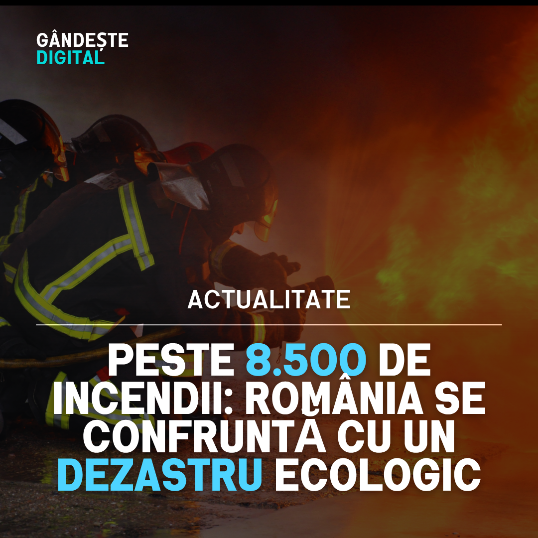 Dezastru Ecologic